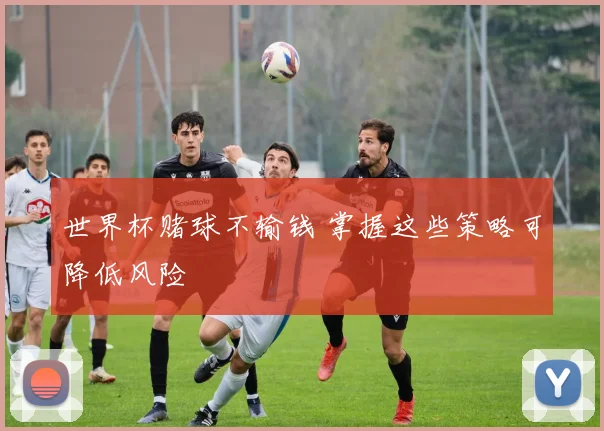 世界杯赌球不输钱 掌握这些策略可降低风险