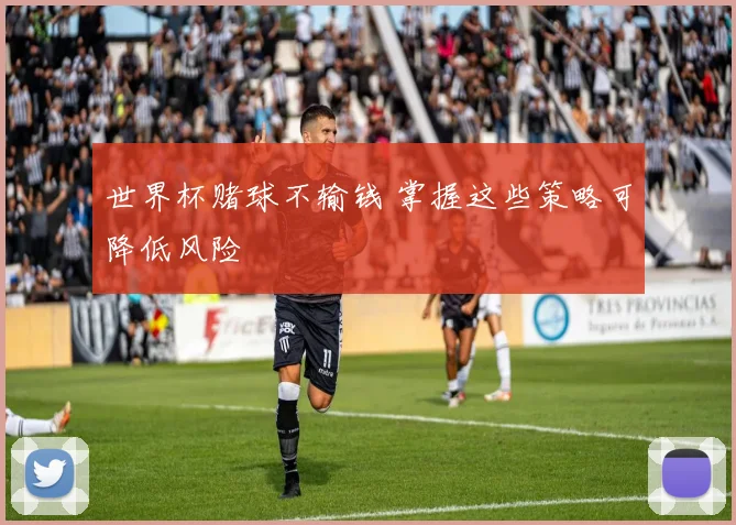 世界杯赌球不输钱 掌握这些策略可降低风险