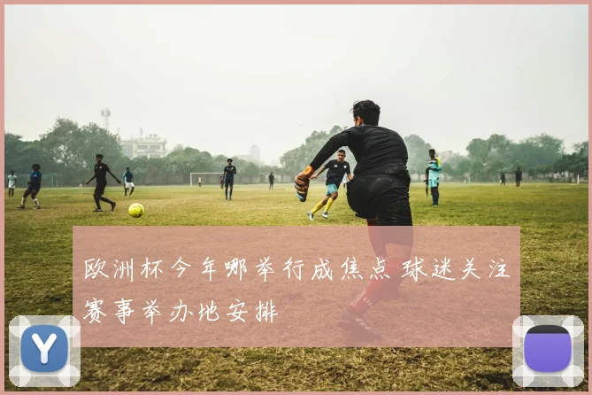 欧洲杯今年哪举行成焦点 球迷关注赛事举办地安排