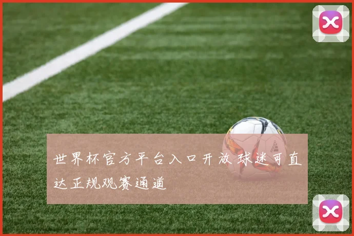 世界杯官方平台入口开放 球迷可直达正规观赛通道