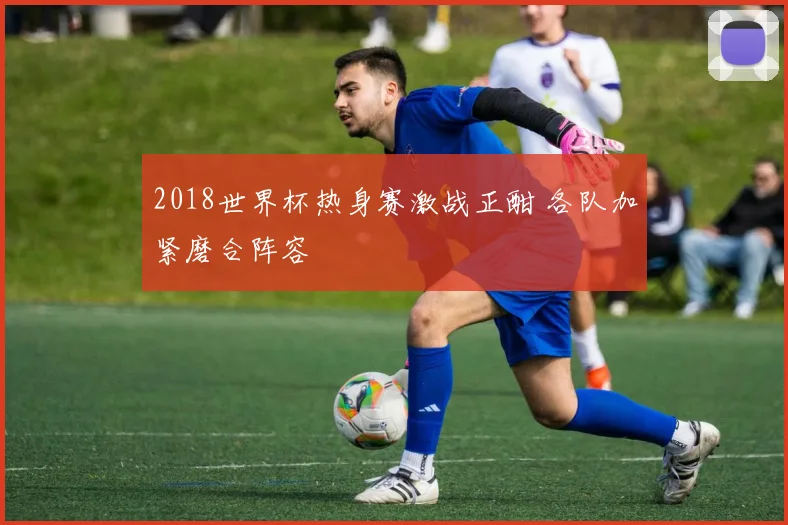 2018世界杯热身赛激战正酣 各队加紧磨合阵容
