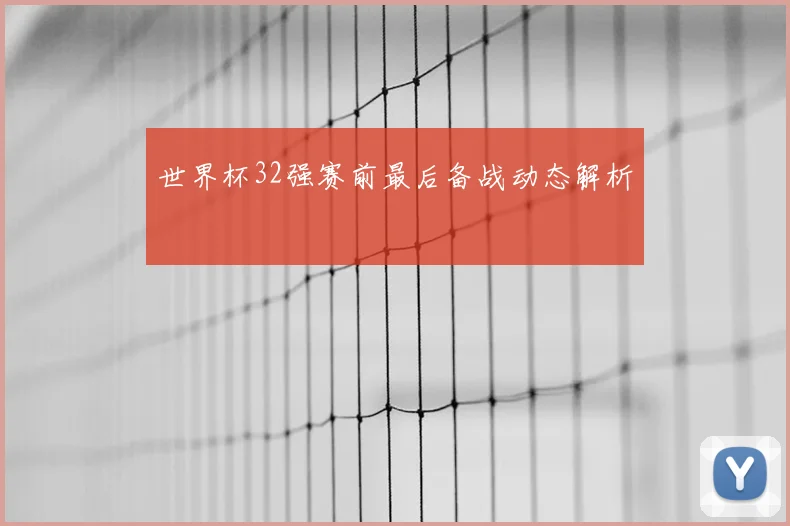 世界杯32强赛前最后备战动态解析
