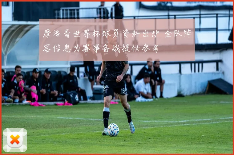 摩洛哥世界杯球员资料出炉 全队阵容信息为赛事备战提供参考