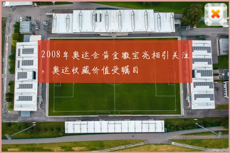 2008年奥运会黄金徽宝亮相引关注，奥运收藏价值受瞩目